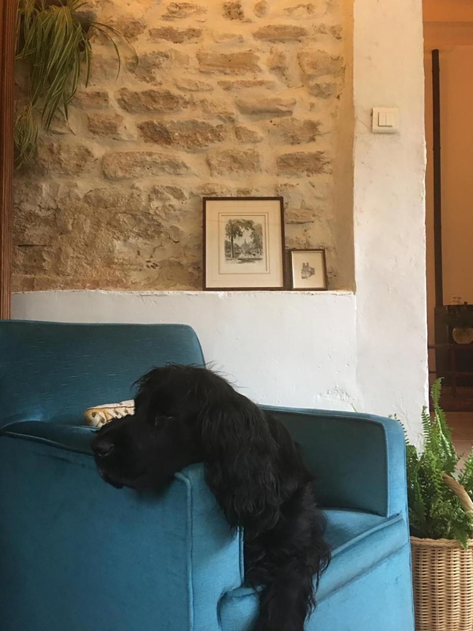La Bergerie Pradel Panzió Le Beaucet Kültér fotó